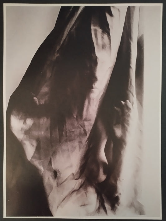 Inspiring Creativity Through Art Education: Amanda Holloway's Journey from Photography to Teaching